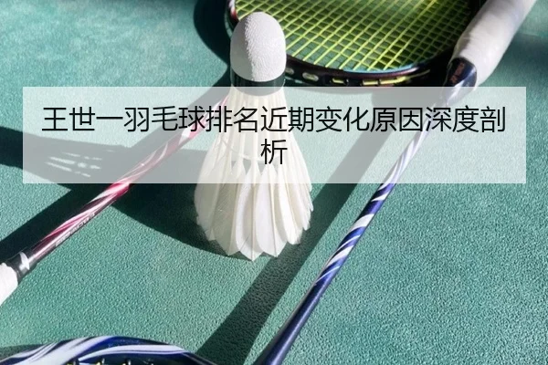 王世一羽毛球排名近期变化原因深度剖析